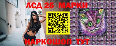 гашик Владивосток