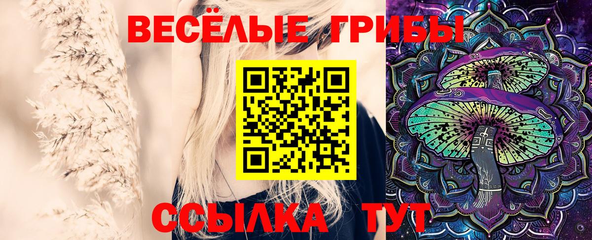 Галлюциногенные грибы Cubensis  Вход с VPN  Воткинск 