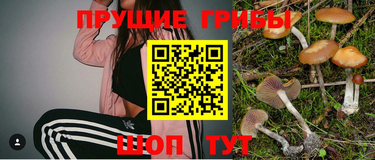Псилоцибиновые грибы Cubensis Воткинск
